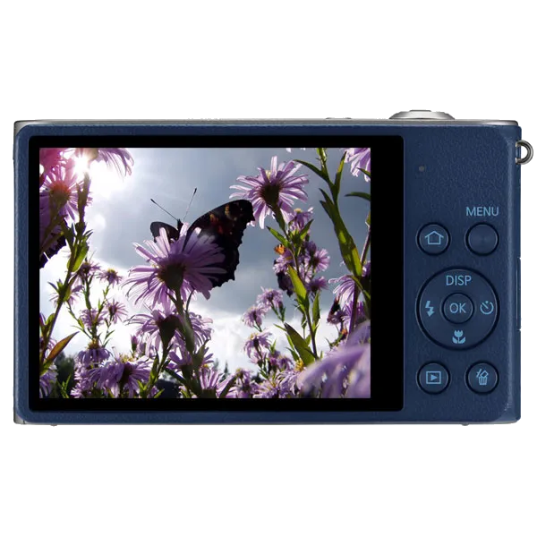 фотоаппарат Samsung DV300F